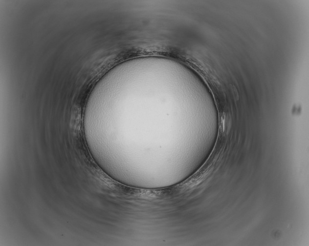 X0000096971251200802291113