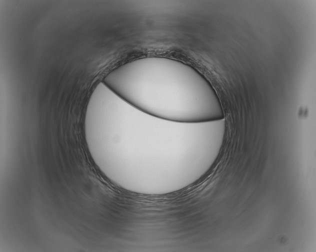 X0000096971252200802291113