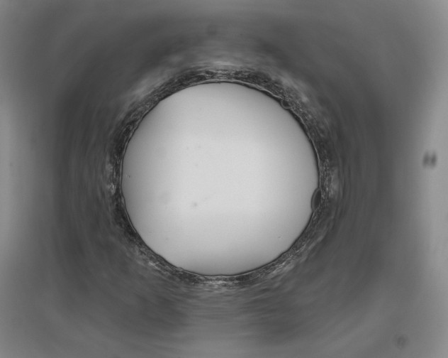 X0000096971253200802291113