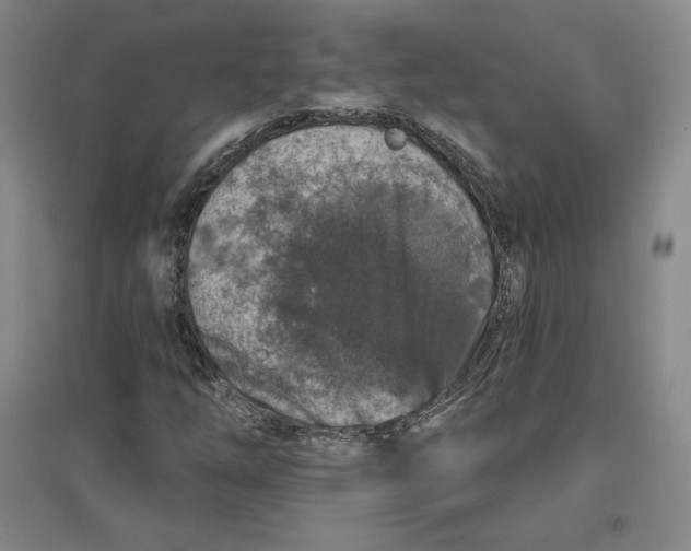 X0000096971254200802291113