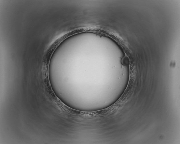 X0000096971255200802291113