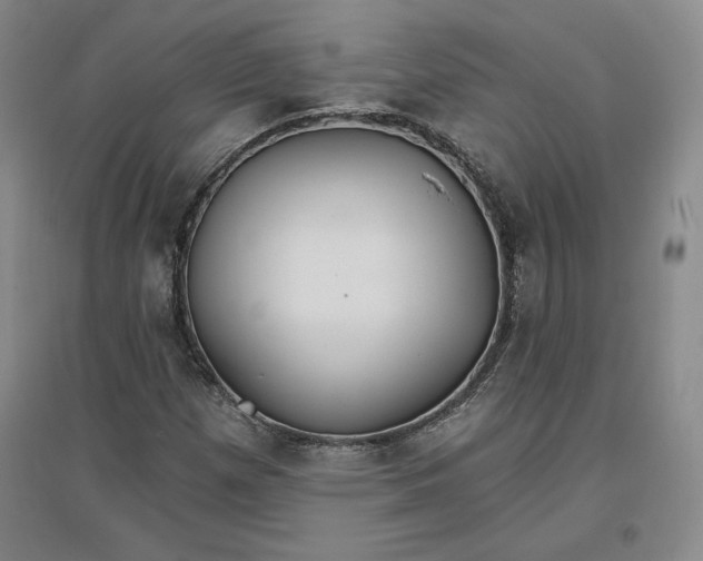 X0000096971257200802291113