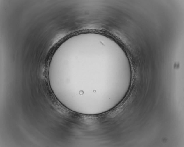 X0000096971258200802291113