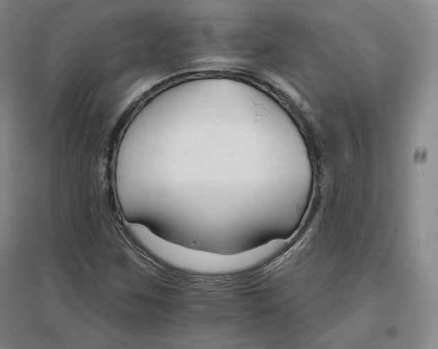 X0000096971259200802291113