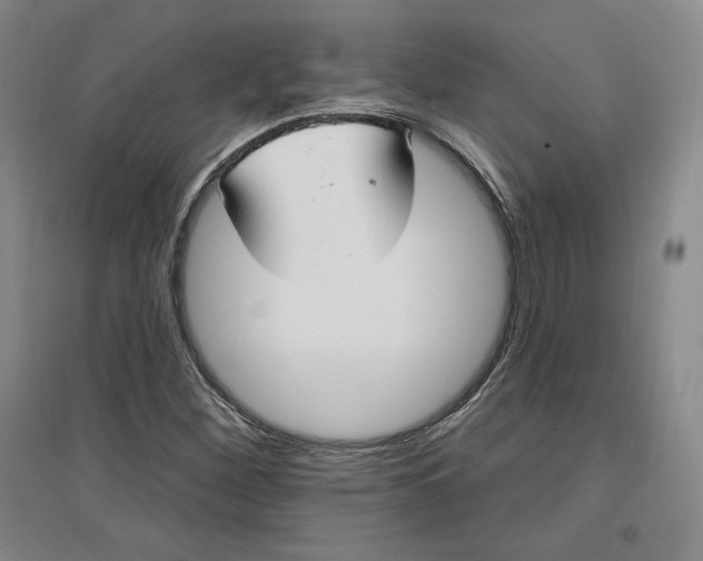 X0000096971260200802291113