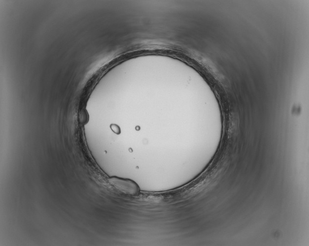 X0000096971261200802291113