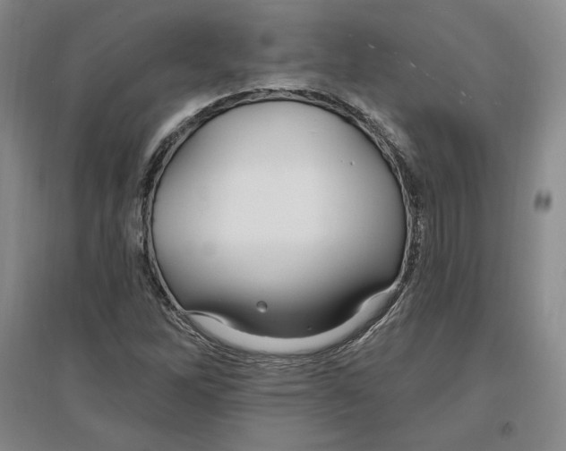 X0000096971262200802291113