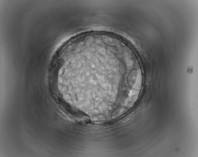 X0000096971263200802291113