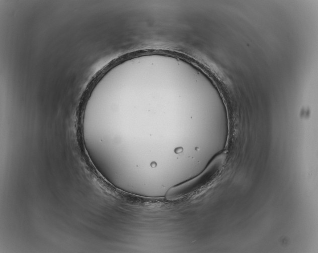 X0000096971264200802291113