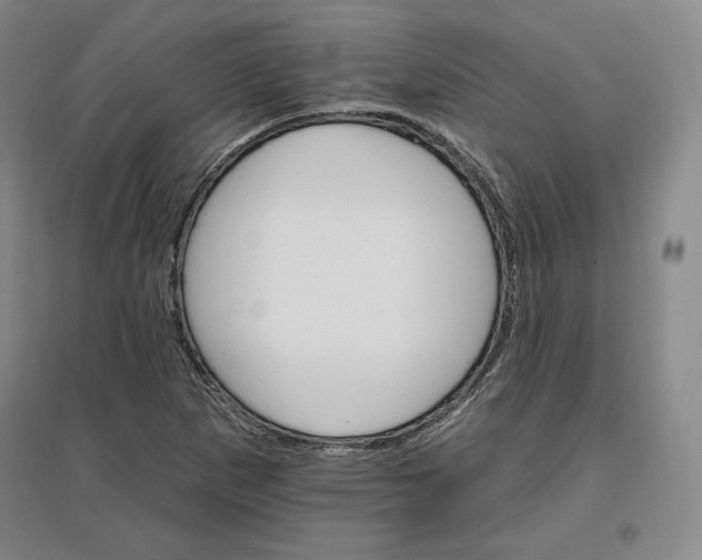 X0000096971265200802291113