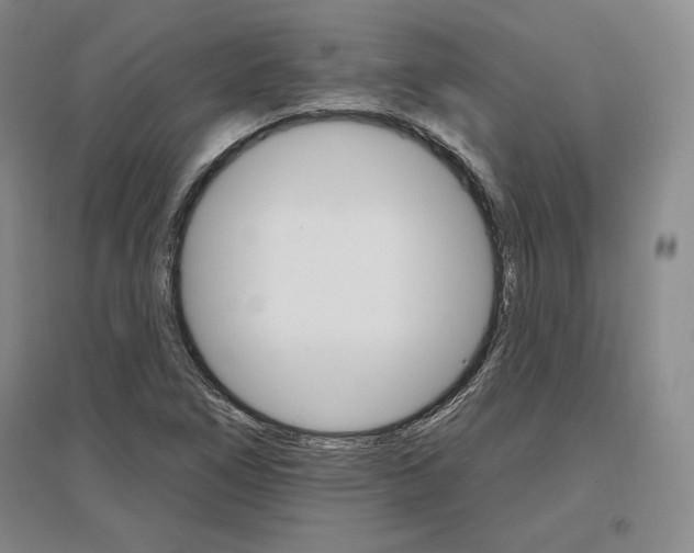 X0000096971266200802291113