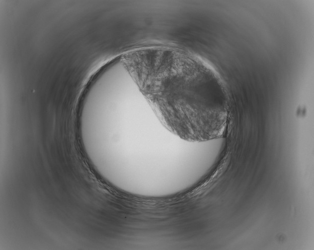 X0000096971267200802291113