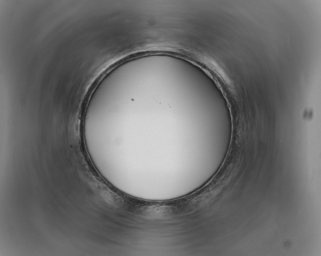 X0000096971268200802291113