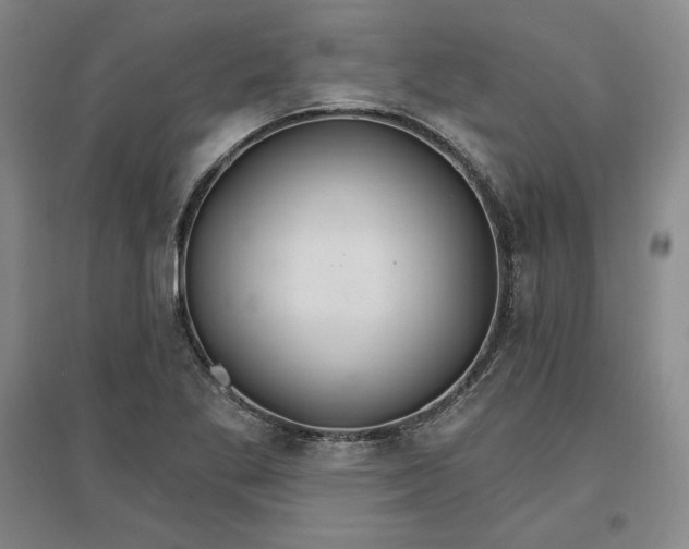 X0000096971269200802291113