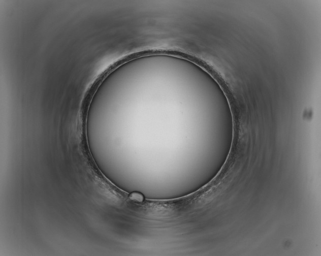 X0000096971270200802291113