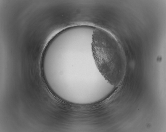 X0000096971271200802291113