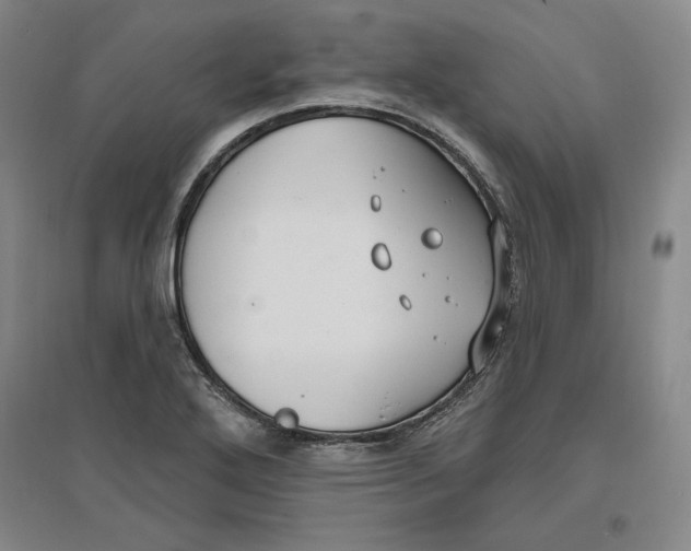 X0000096971272200802291113