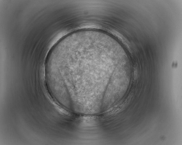 X0000096971274200802291113