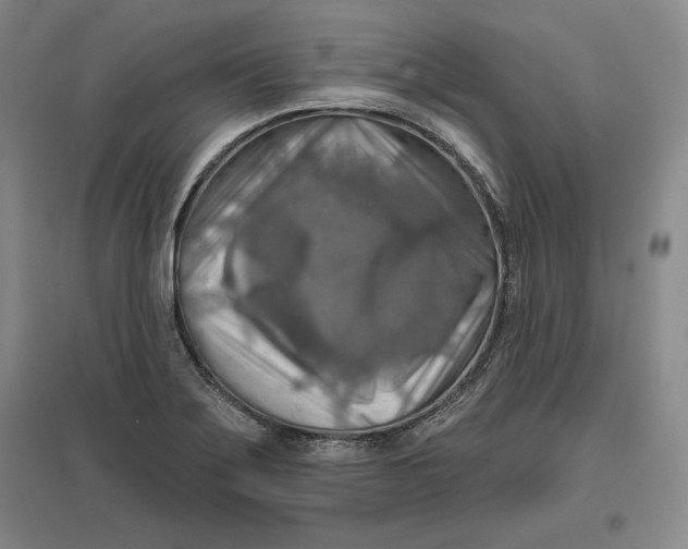 X0000096971275200802291113