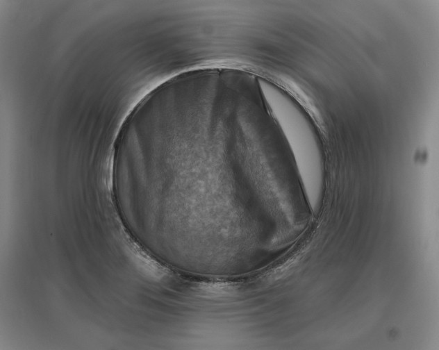 X0000096971276200802291113