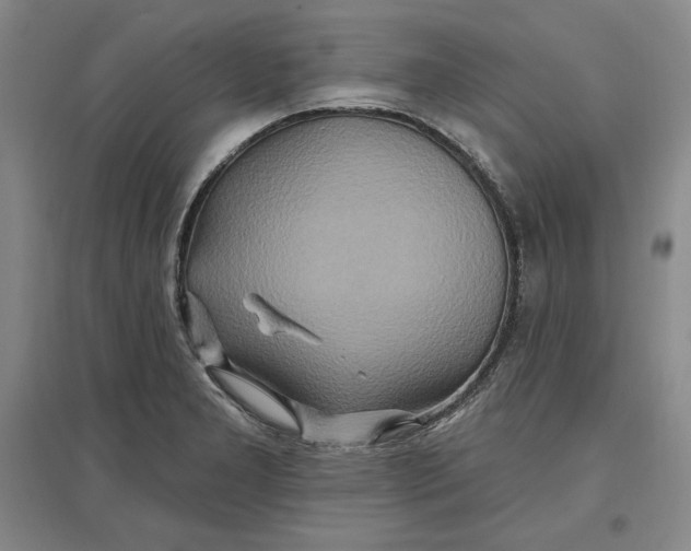 X0000096971277200802291113