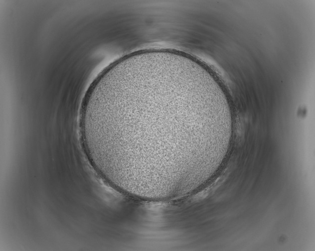 X0000096971278200802291113