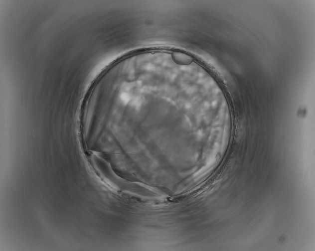 X0000096971279200802291113