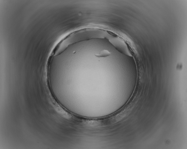 X0000096971280200802291113