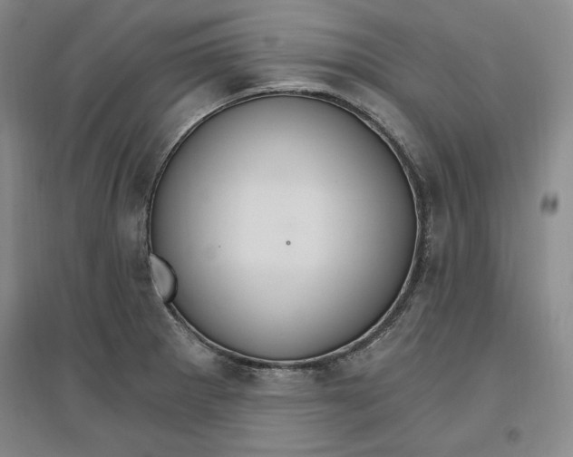 X0000096971281200802291113