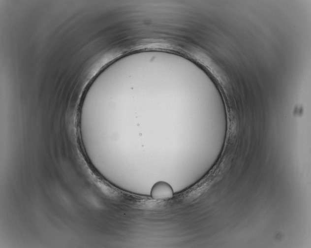 X0000096971282200802291113