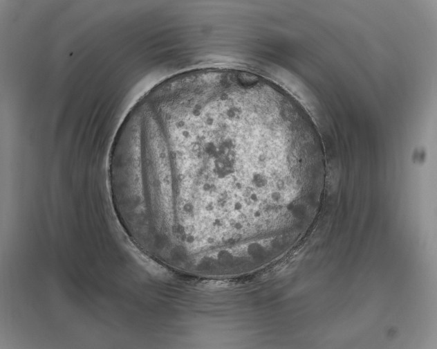 X0000096971283200802291113