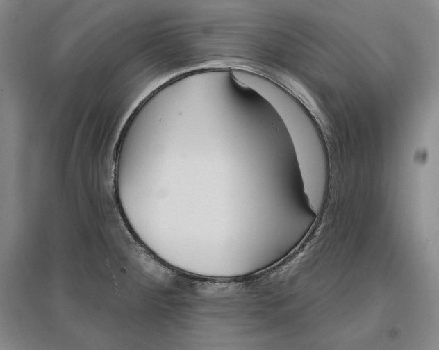 X0000096971284200802291113