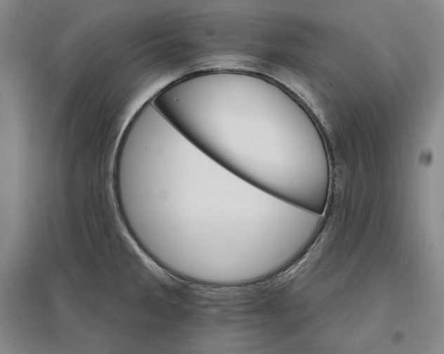 X0000096971285200802291113