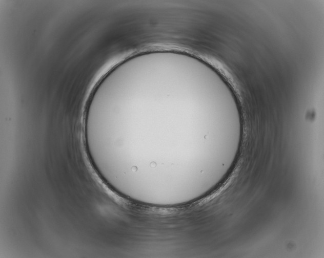 X0000096971286200802291113