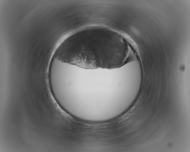 X0000096971287200802291113