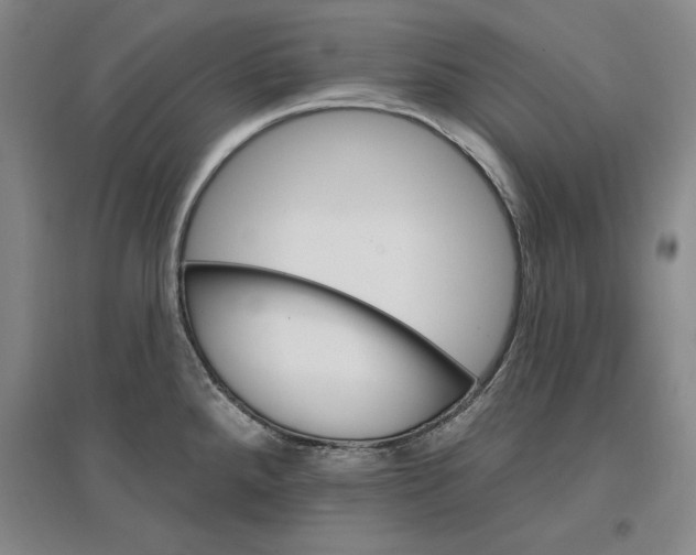 X0000096971288200802291112