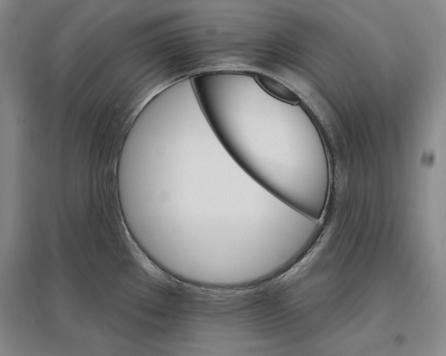 X0000096971289200802291112