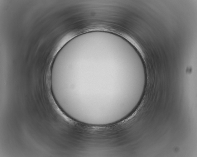 X0000096971290200802291112