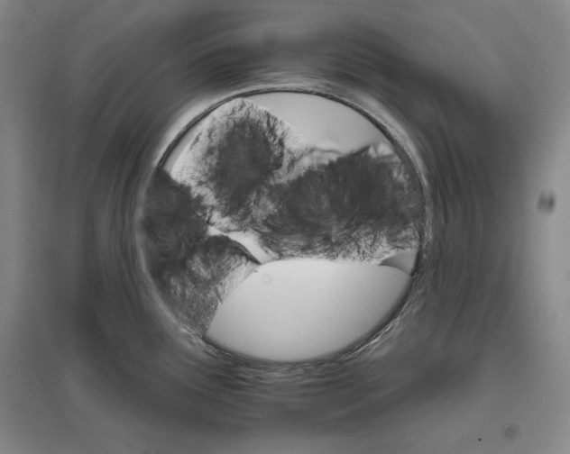 X0000096971291200802291112