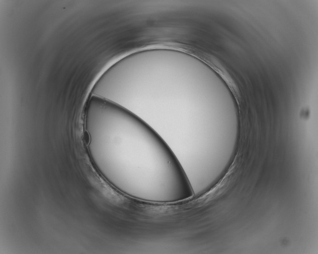 X0000096971292200802291112