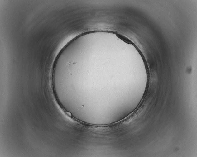 X0000096971293200802291112