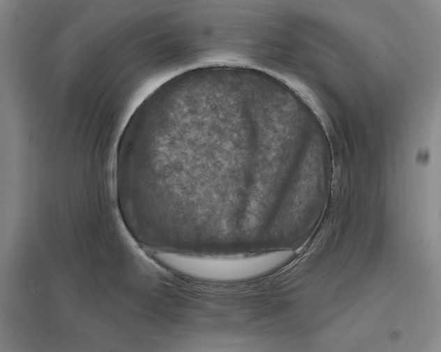 X0000096971295200802291112