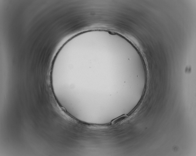 X0000096971296200802291112