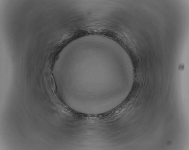 X0000096971297200802291112