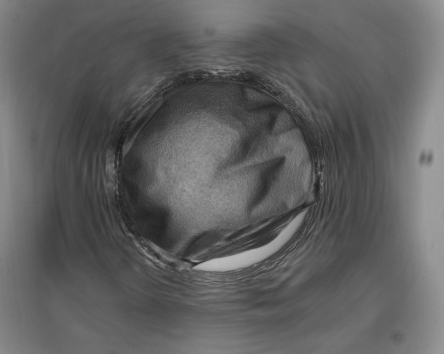 X0000096971298200802291112