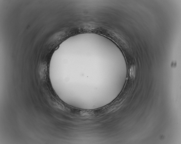 X0000096971299200802291112