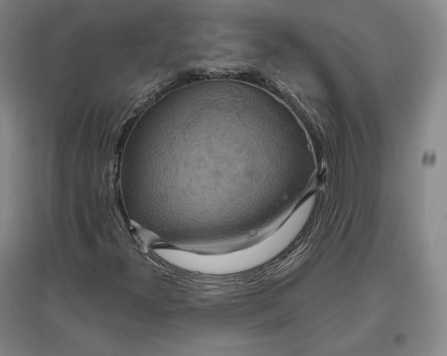 X0000096971300200802291112