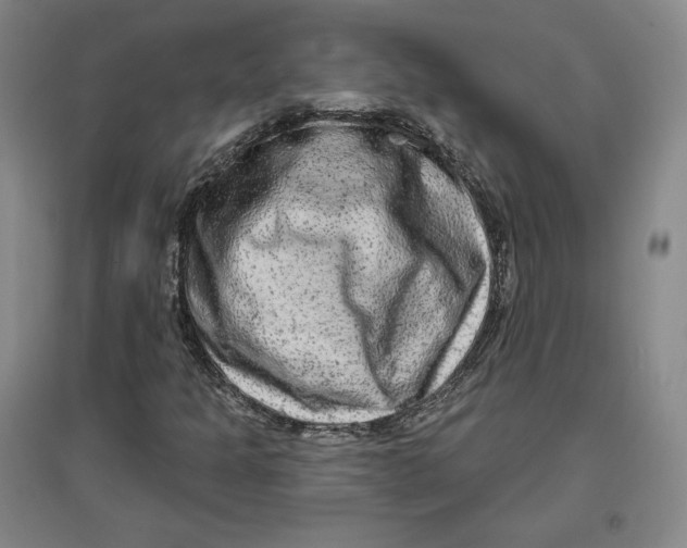 X0000096971301200802291112