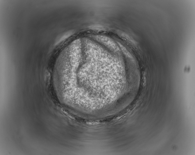 X0000096971302200802291112