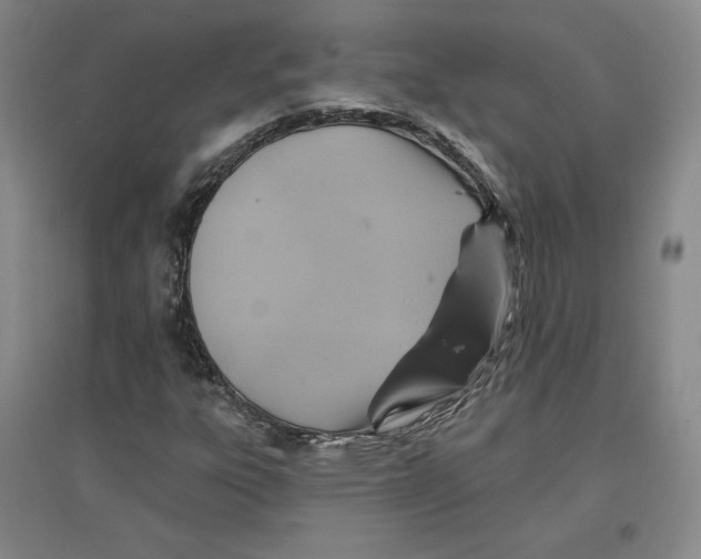 X0000096971303200802291112